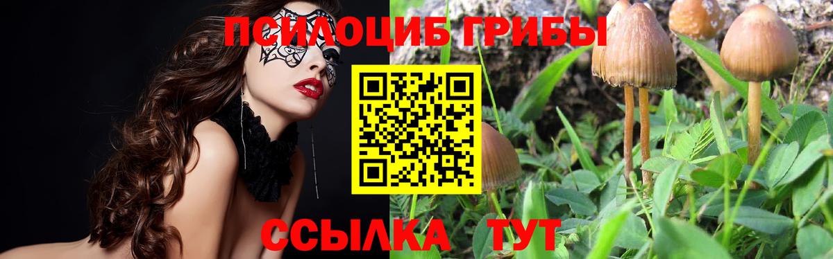 Галлюциногенные грибы Magic Shrooms Белово